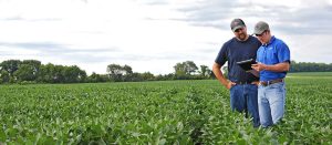 Two men standing and looking at a tablet in a soybean field