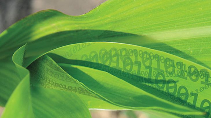 Green leaves with overlaid numbers