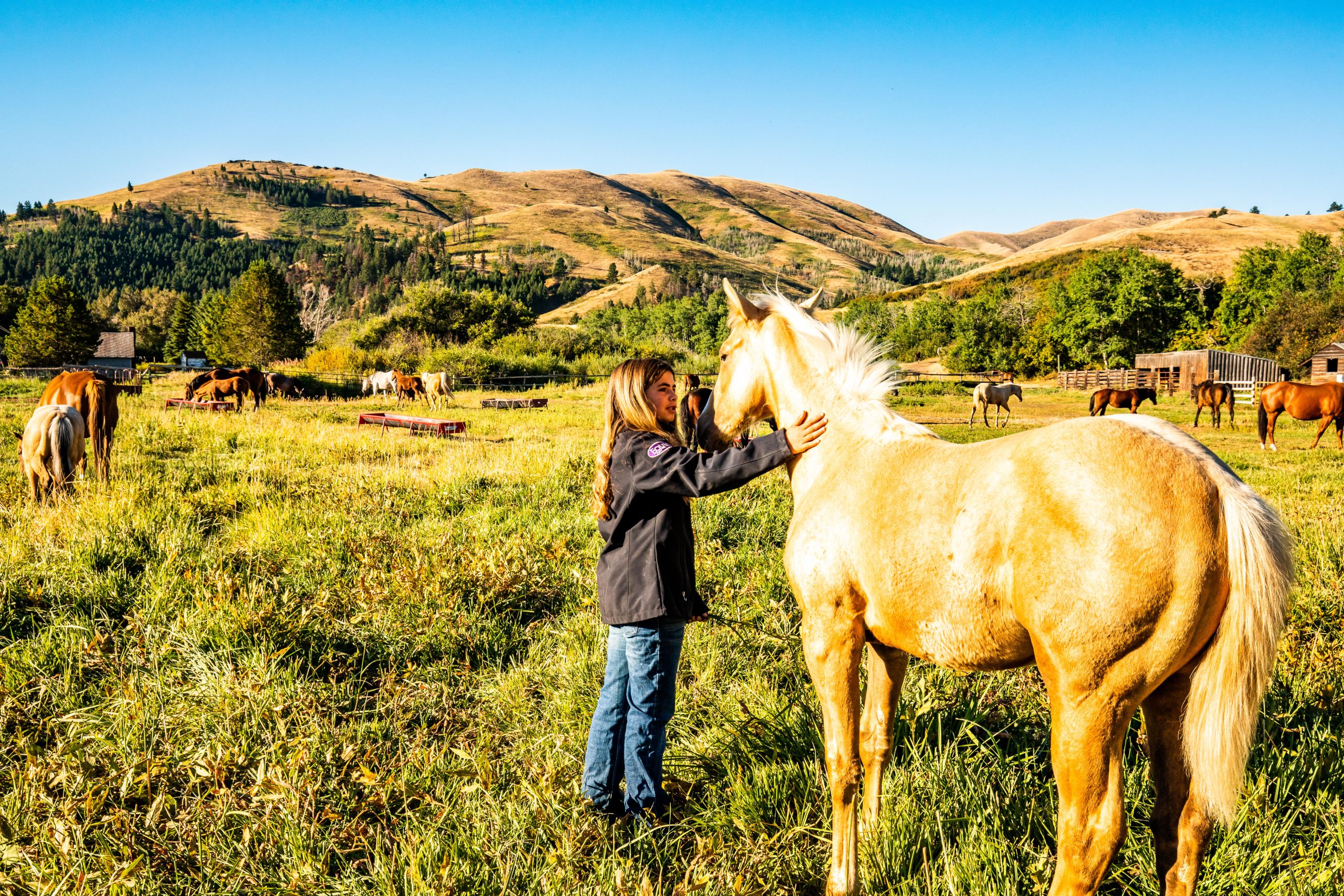Preteen girl petting a horse in a field